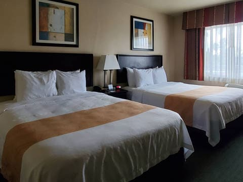 Two neatly made hotel beds with white linens and orange runners, a bedside table with a lamp, and framed art on the wall.